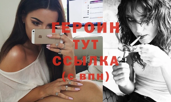 стаф Гусев