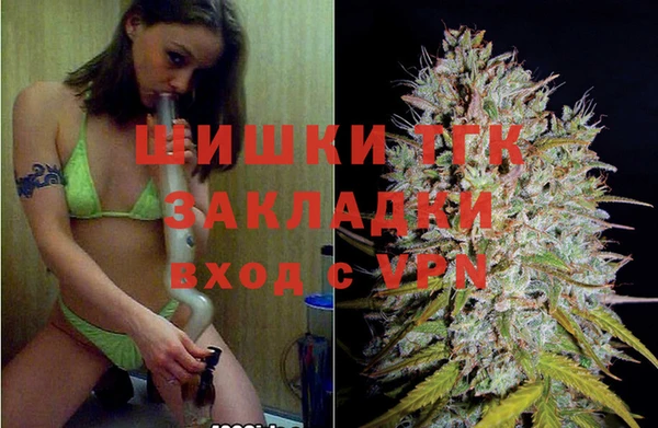 гидропоника Дмитровск